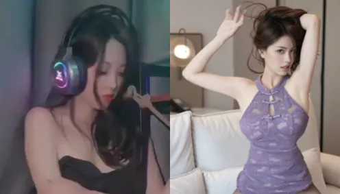偷心嘚猫