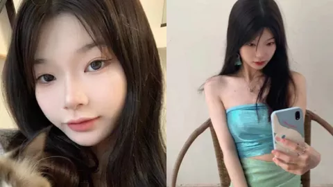 下山绵羊