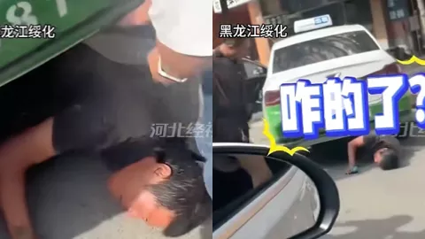 黑龙江