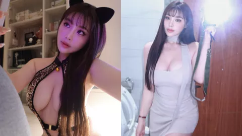 台北网红猫咪