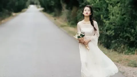 辛芷蕾