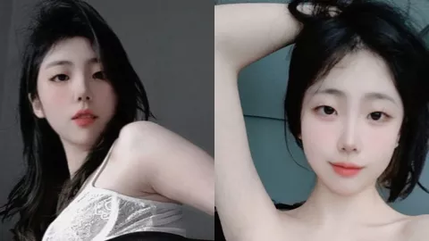 小坏猫