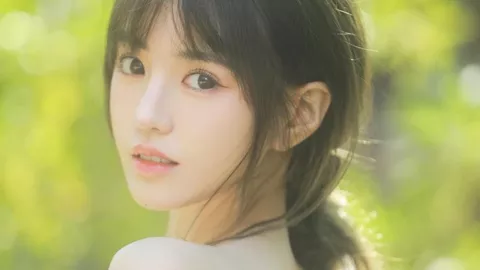 烟花治理