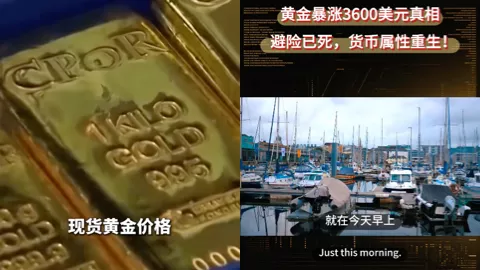 金价再创新高