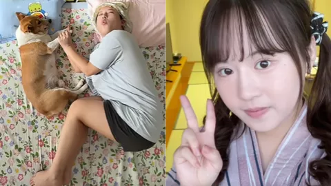 树莓