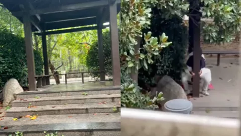 徐州技师学院