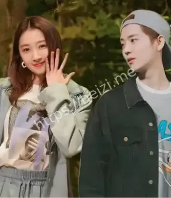娱乐圈恋情
