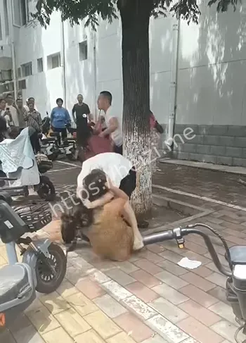 捉奸手撕