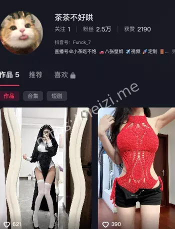 茶茶不好哄
