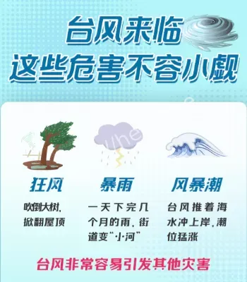 第17号台风