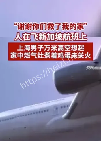 航班应急协作