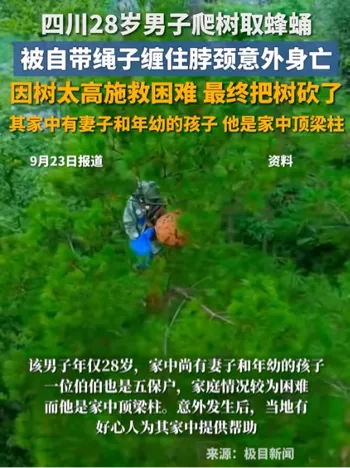 取蜂蛹事故