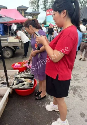 恋老丑闻