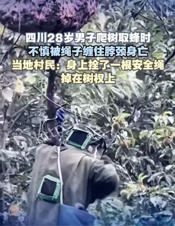 农村生计困境