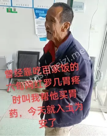 藏草丛逃逸
