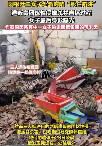 贩毒集团复仇