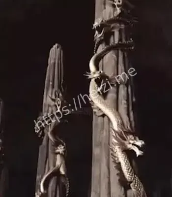 蛇群挖掘事故