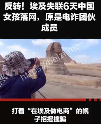 电诈被捕