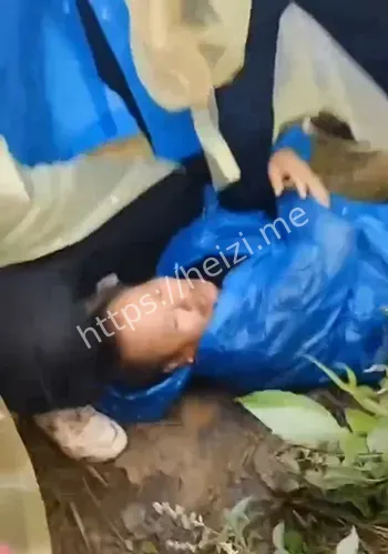 镇政府强征