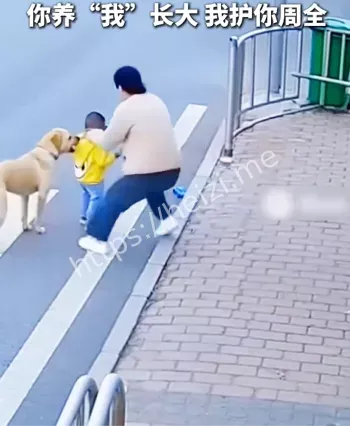 监控视频流出