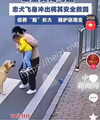 监控视频流出