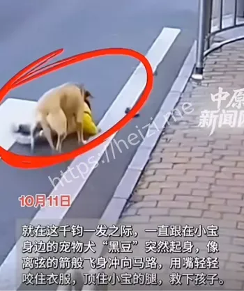 完整视频流出