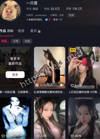 一只官