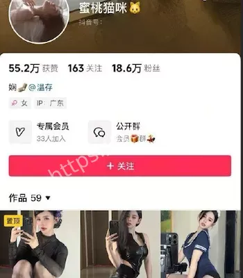 蜜桃猫咪