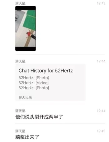 男子脑壳两半