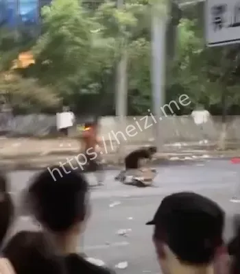现场视频曝光