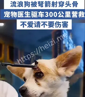 武汉医生
