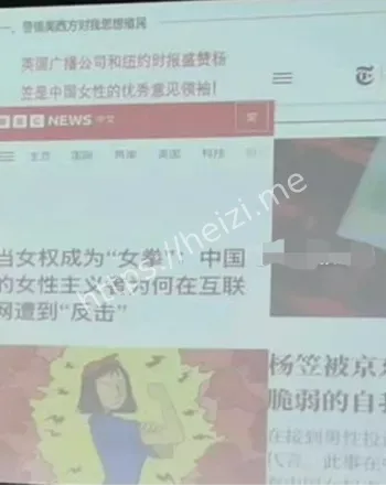极端女权争议