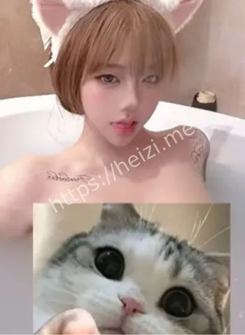 社会好姐姐
