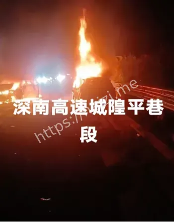 吃瓜血案