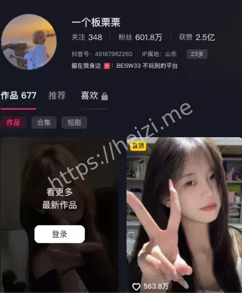 司淑琪