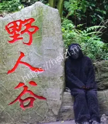 谜团揭晓